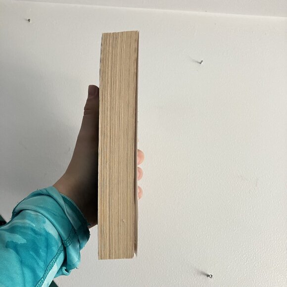 A Good Mother by Bazelon, Lara Fiction Shocking Murder Mystery Thriller - Picture 7 of 7